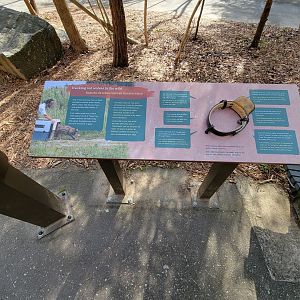 Museum of Life+Science - Tracking red wolves