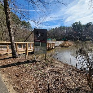 Museum of Life+Science - Pond boardwalk