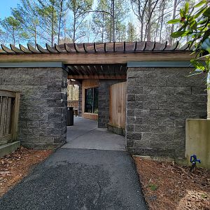 Museum of Life+Science - Ring-tailed lemurs and radiated tortoises