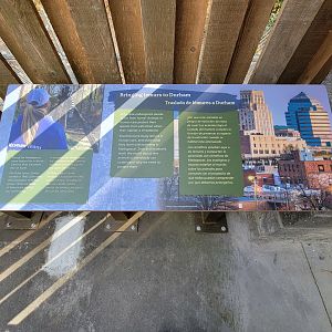 Museum of Life+Science - Bringing lemurs to Durham