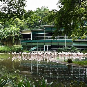 [CLOSED] Flamingo Lake