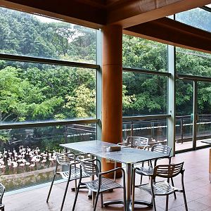 [CLOSED] Lodge on Flamingo Lake