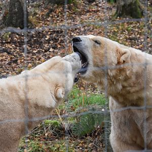 Does my breath smell bad to you?