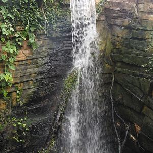 Waterfall in the orangutan greenhouse, 2022-08-07