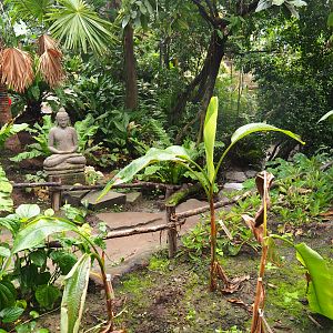 Adventure route in the orangutan greenhouse, 2022-08-07