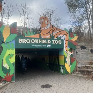 Tunnel to Entry Gate from Parking Lot