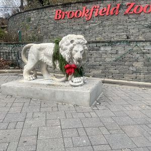 Welcoming Stone Lion