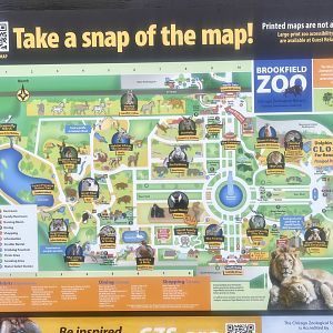 Zoo Map