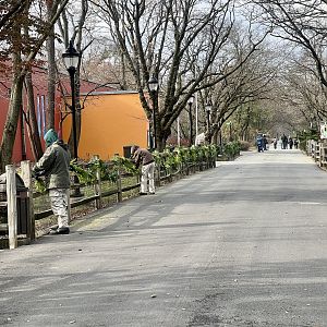 Zoo Path towards Australia, Hoofstock, and Africa exhibits