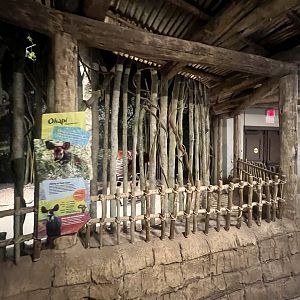 Okapi Exhibit