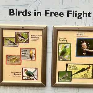 Birds in Savanna Aviary Identification Sign