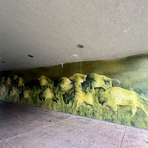 Bison Mural