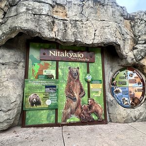 Brown Bear Information Sign