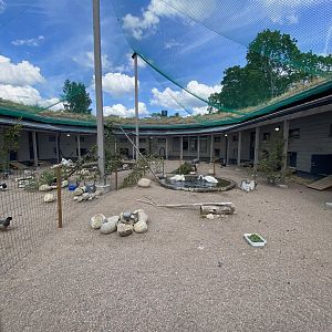 Heinolan lintuhoitola, enclosure for waterfowl