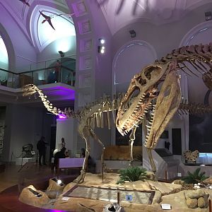 The Finnish Museum of Natural History, dinosaur exhibition