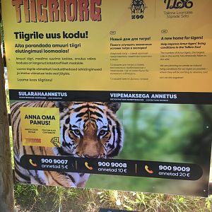 Information about the new tiger enclosure that is being built