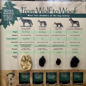 Species comparison sign