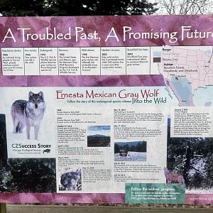Mexican Gray Wolf Conservation Progress Information Sign