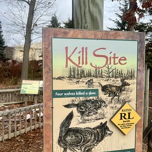 Gray Wolf Predation Information Sign