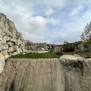 Polar Bear Exhibit