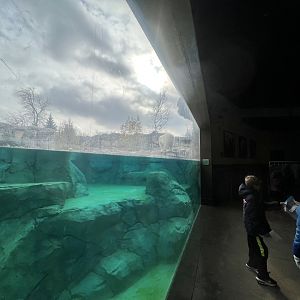 Inside underwater viewing window