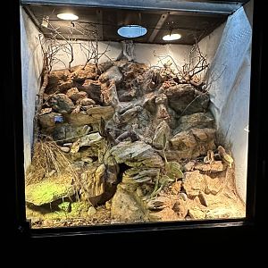 South Texas Terrarium