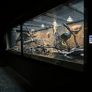 Southern & Central Europe Terrarium