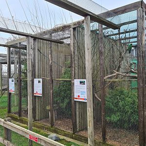 Primate and Bird Cages, Fenn Bell