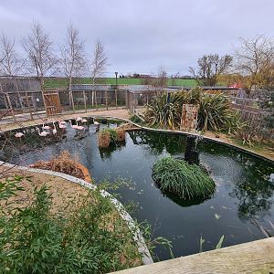 Greater Flamingo Lake, Fenn Bell