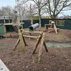 Red Fox Exhibit, Fenn Bell