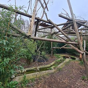 Binturong Exhibit, Fenn Bell
