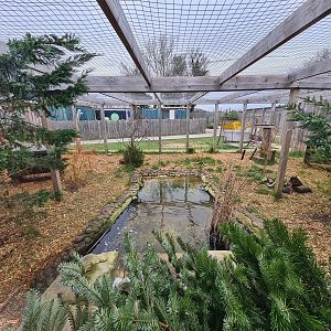 Fishing Cat Exhibit, Fenn Bell
