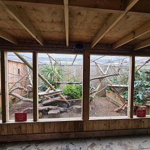 Squirrel Monkey Exhibit, Fenn Bell