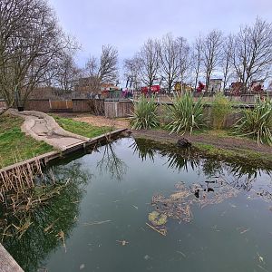 Otter Exhibit, Fenn Bell
