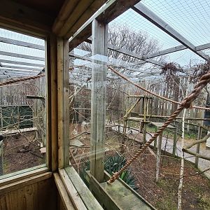 Lemur and Dik-Dik Exhibit, Fenn Bell