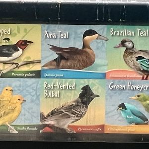 Bird ID Sign