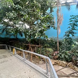 Aviary
