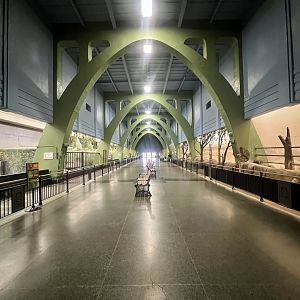 Interior of Pachyderm House