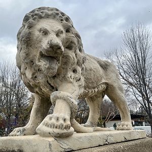 Stone Lion