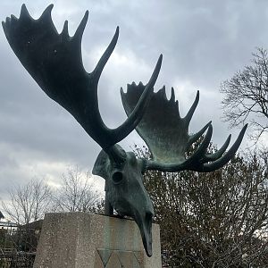 Zoo Art - Roosevelt Plaza