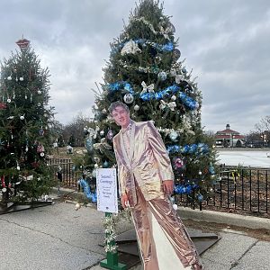 Themed Christmas Tree Display