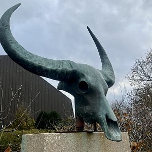 Zoo Art Roosevelt Plaza