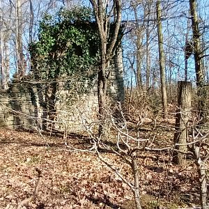 Inside of the walkthrough Great grey Owl Aviary