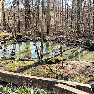 Pond inside the Eurasian walkthrough Aviary