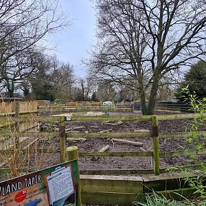 Tapir and Capybara Paddock