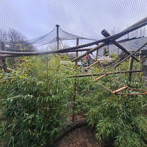 Squirrel Monkey Exhibit