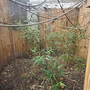 Small Primate Exhibit