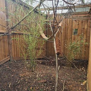 Small Primate Exhibit