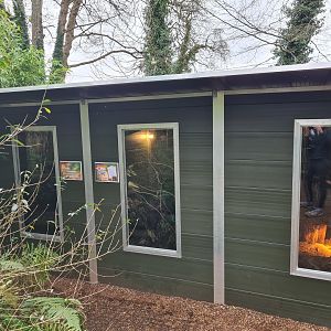 Rusty Spotted Cat, Vontsira, and Echidna Shed