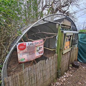 Bali Starling Exhibit